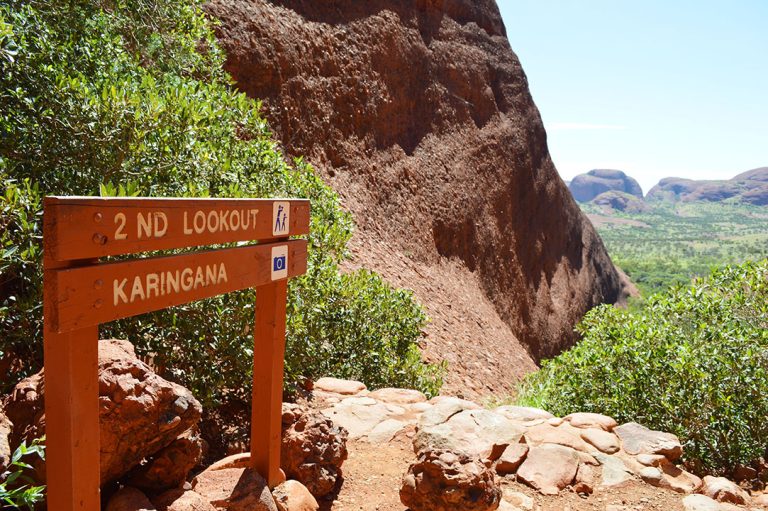 The top 10 best knee braces for hiking