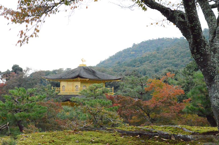 Visiting Kinkakuji in Kyoto, Japan